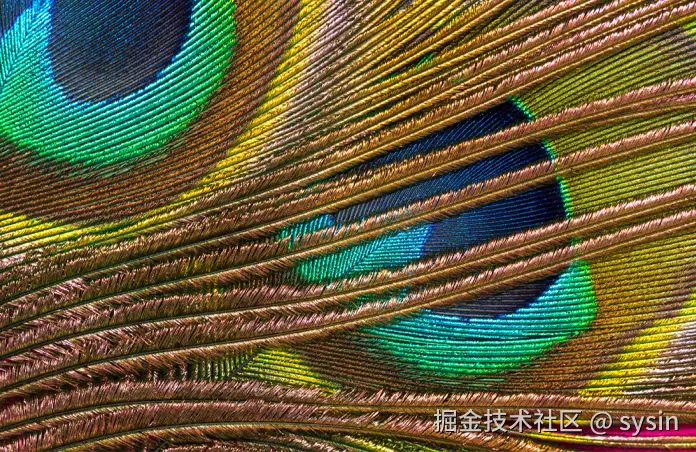 彩色孔雀羽毛的特写照片。