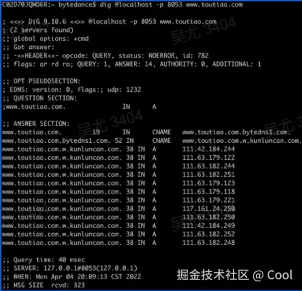 image-20220522092624956.png
