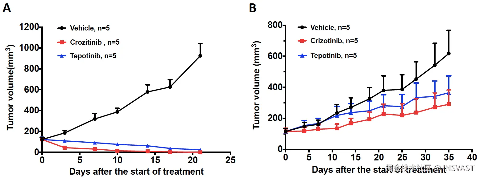 图4  TKIs对两个PDX模型的效果 (A) 治疗前PDX小鼠在接受对照组、50 mg/kg克唑替尼和10 mg/kg tepotinib每天一次，持续3周治疗后的肿瘤变化。 (B) 耐药PDX小鼠在接受对照组、50 mg/kg克唑替尼和10 mg/kg tepotinib每天一次，持续5周治疗后的肿瘤变化。肿瘤体积以平均值±标准误差表示。