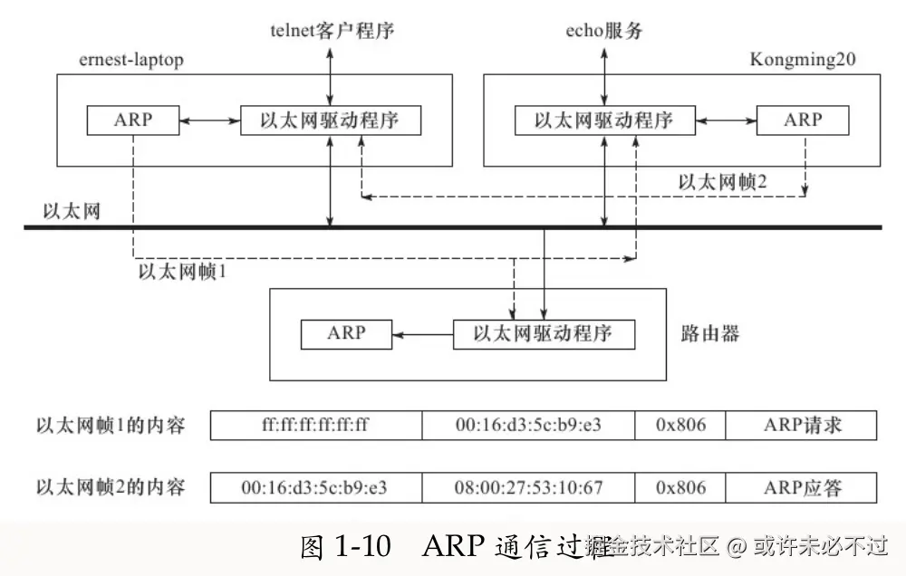arp-c.png
