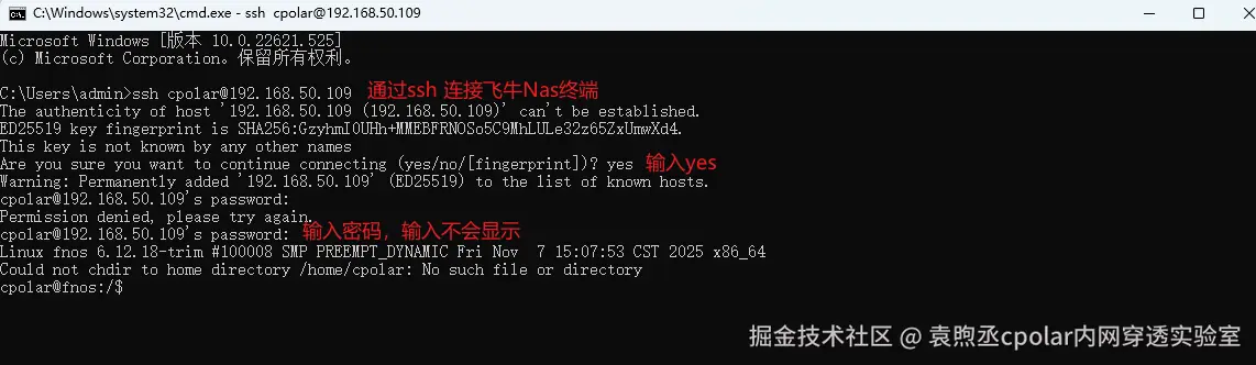 image-20251223134907512