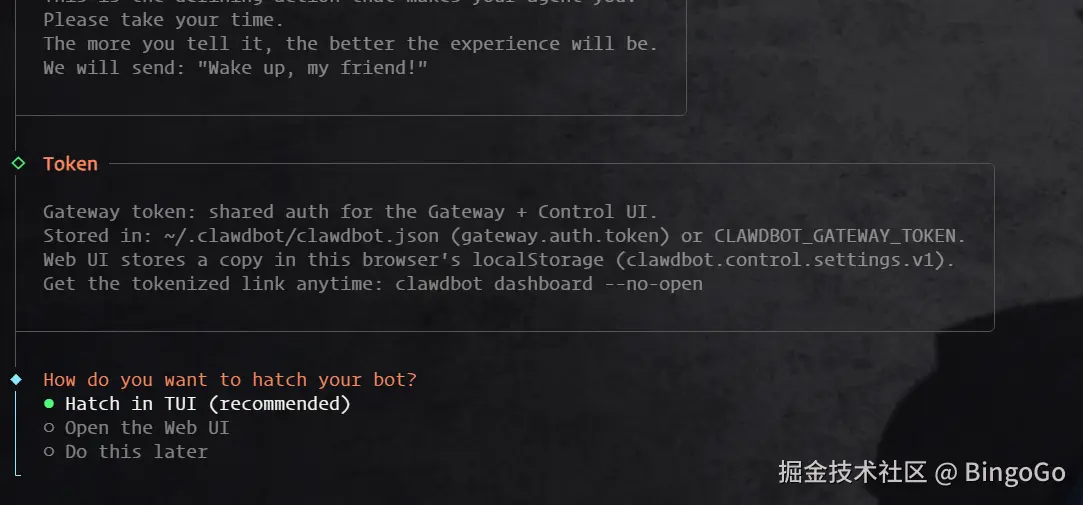 Openclaw (原 Clawdbot) 选择 TUI 终端界面
