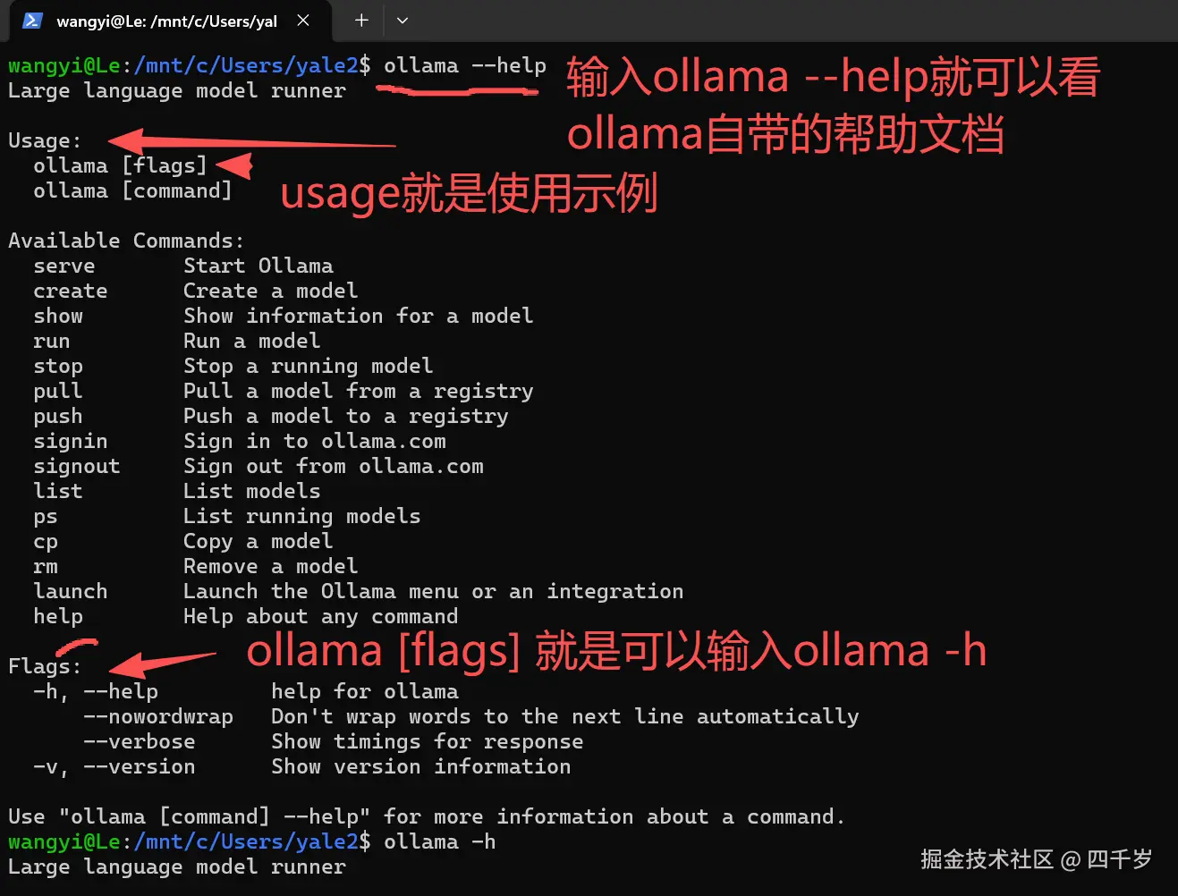 查看Ollama自带的帮助文档