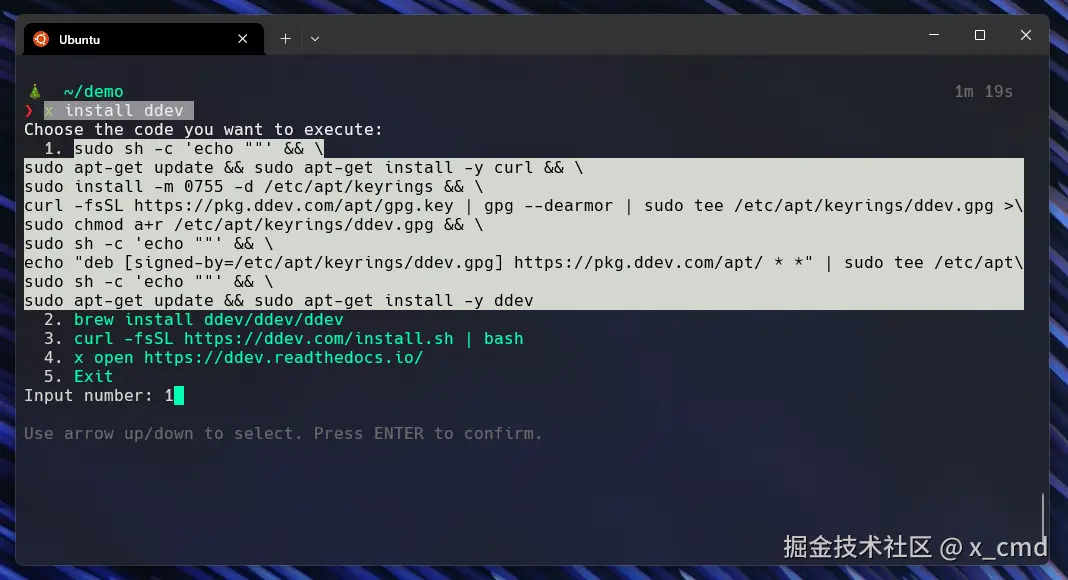 x_install_ddev.cn.png