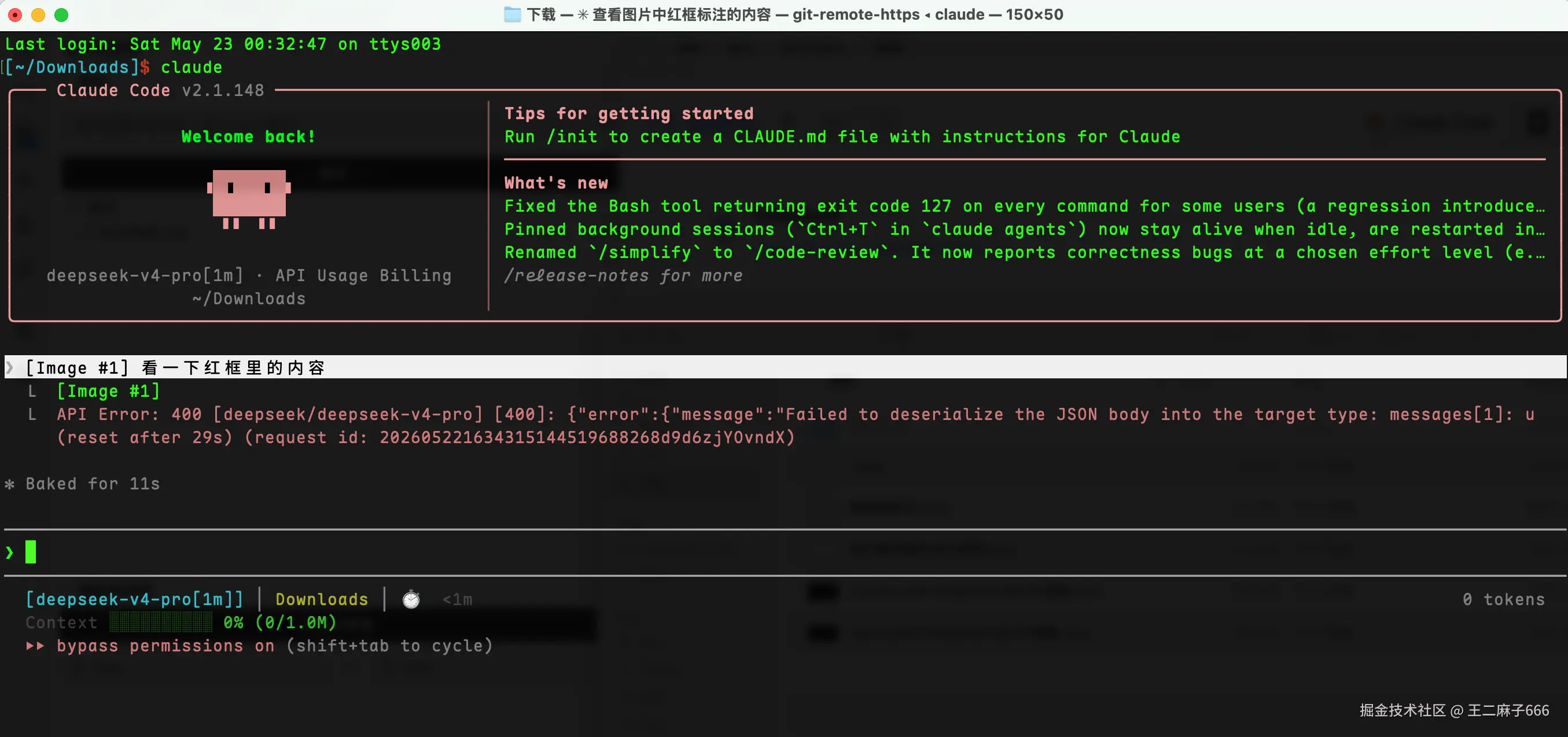 claudecode+DeepSeek关闭图片整流器运行示意图.png