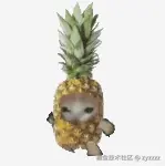 PixPin_2024-12-29_21-31-23.gif