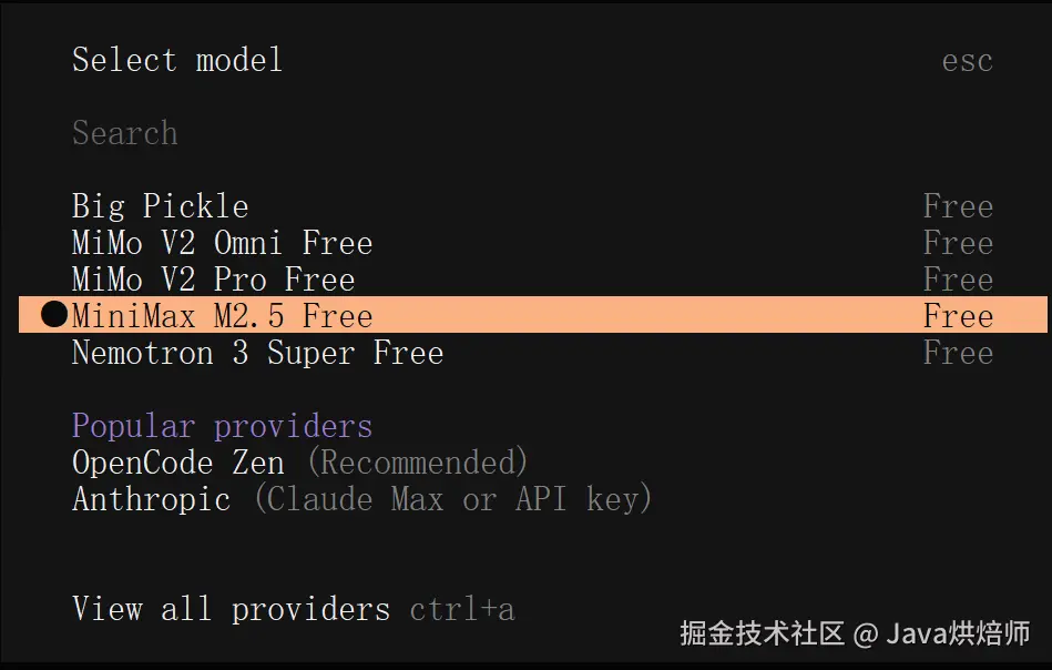 opencode_model