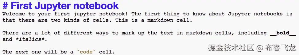 图 1.11：未渲染的 Markdown 单元格    