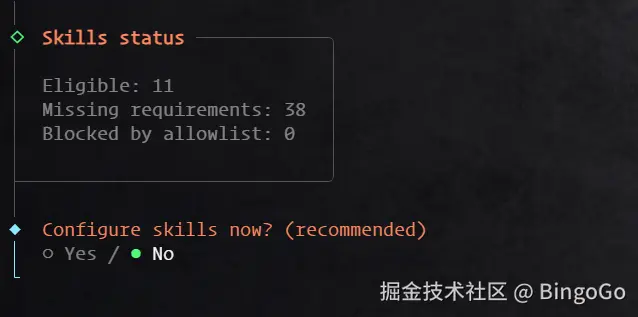 Clawedbot skills 技能配置选项