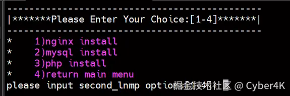 image-20250525203803989