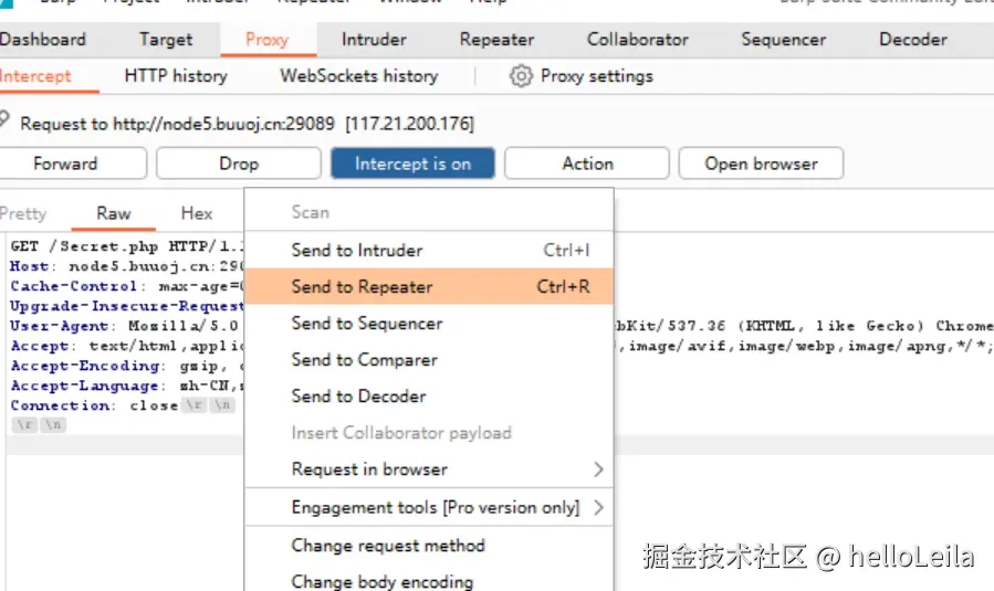 image-20241206101132739