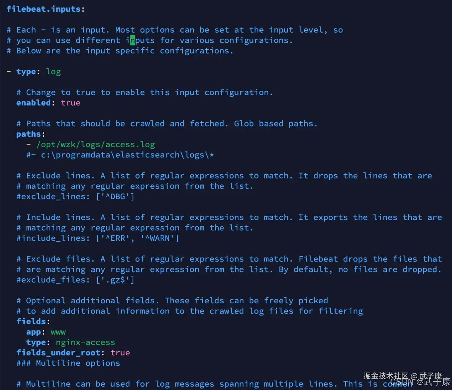 FileBeat input配置
