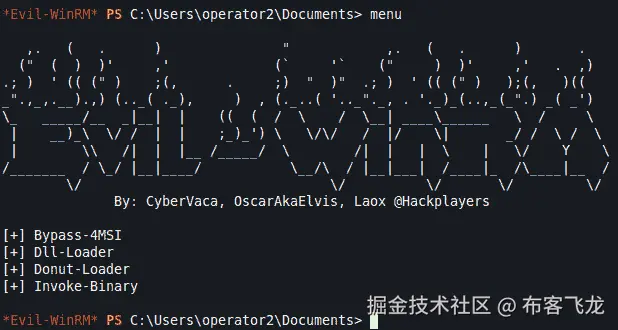 图 10.64 – Evil-WinRM shell 菜单