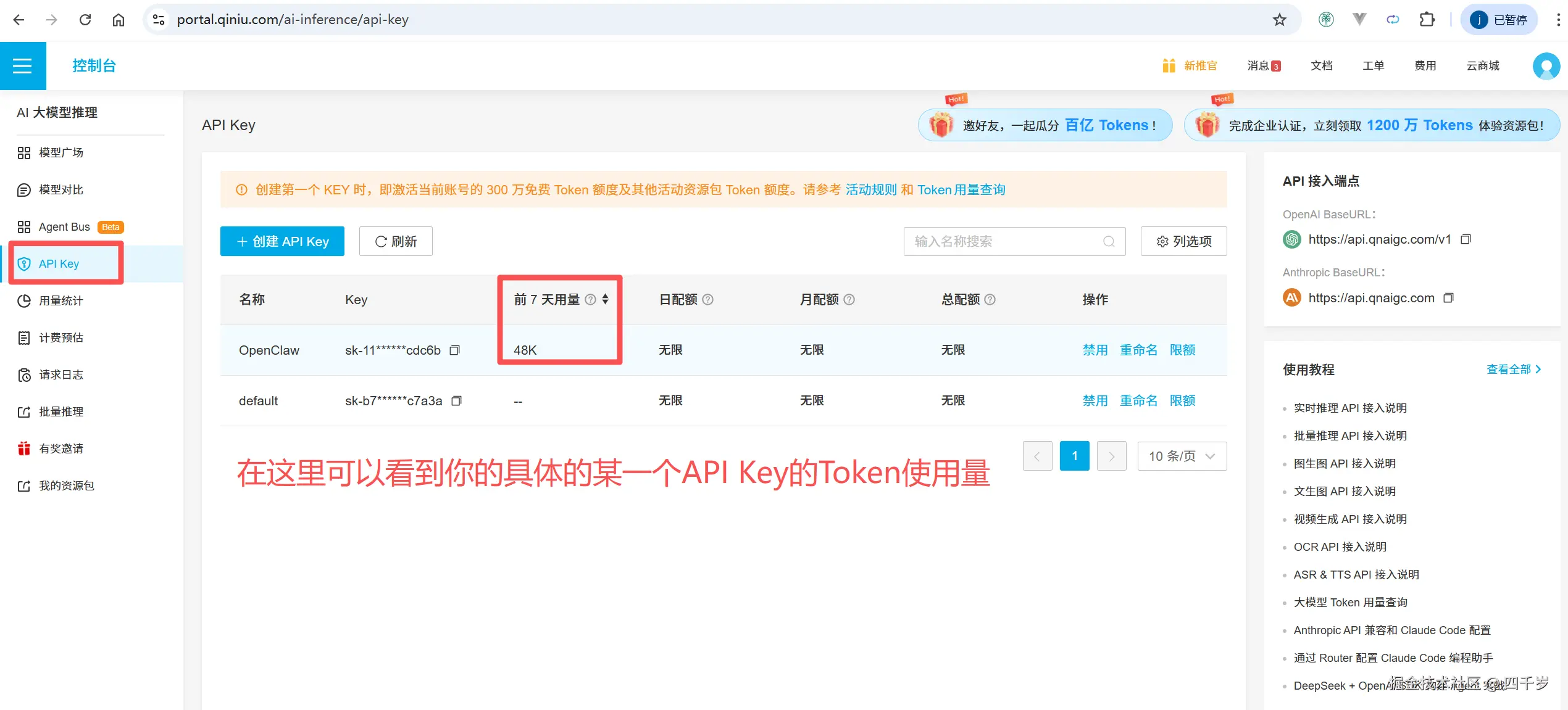 API Key使用量.png