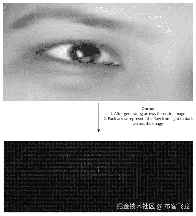 方向梯度直方图（HOG）