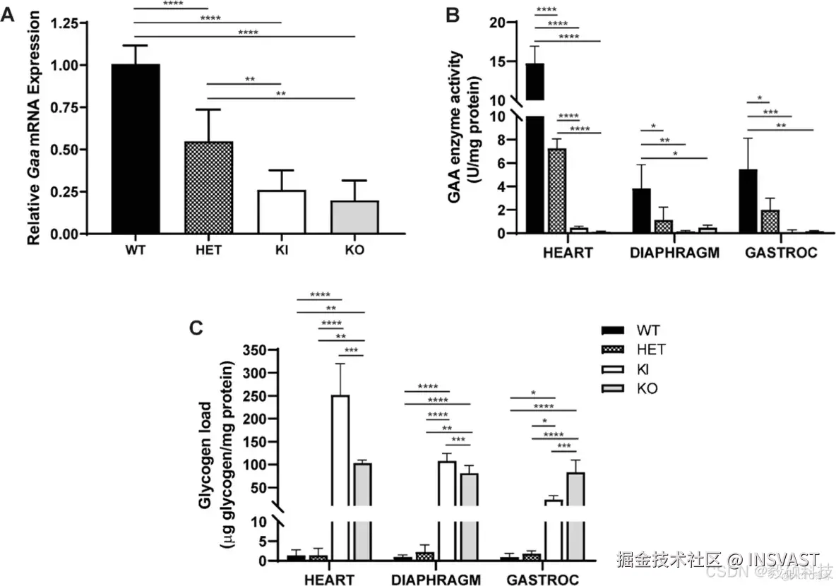 文献解读-CRISPR-Cas9 generated Pompe knock-in murine model exhibits early-onset hypertrophic cardiomyopa_IOPD_06
