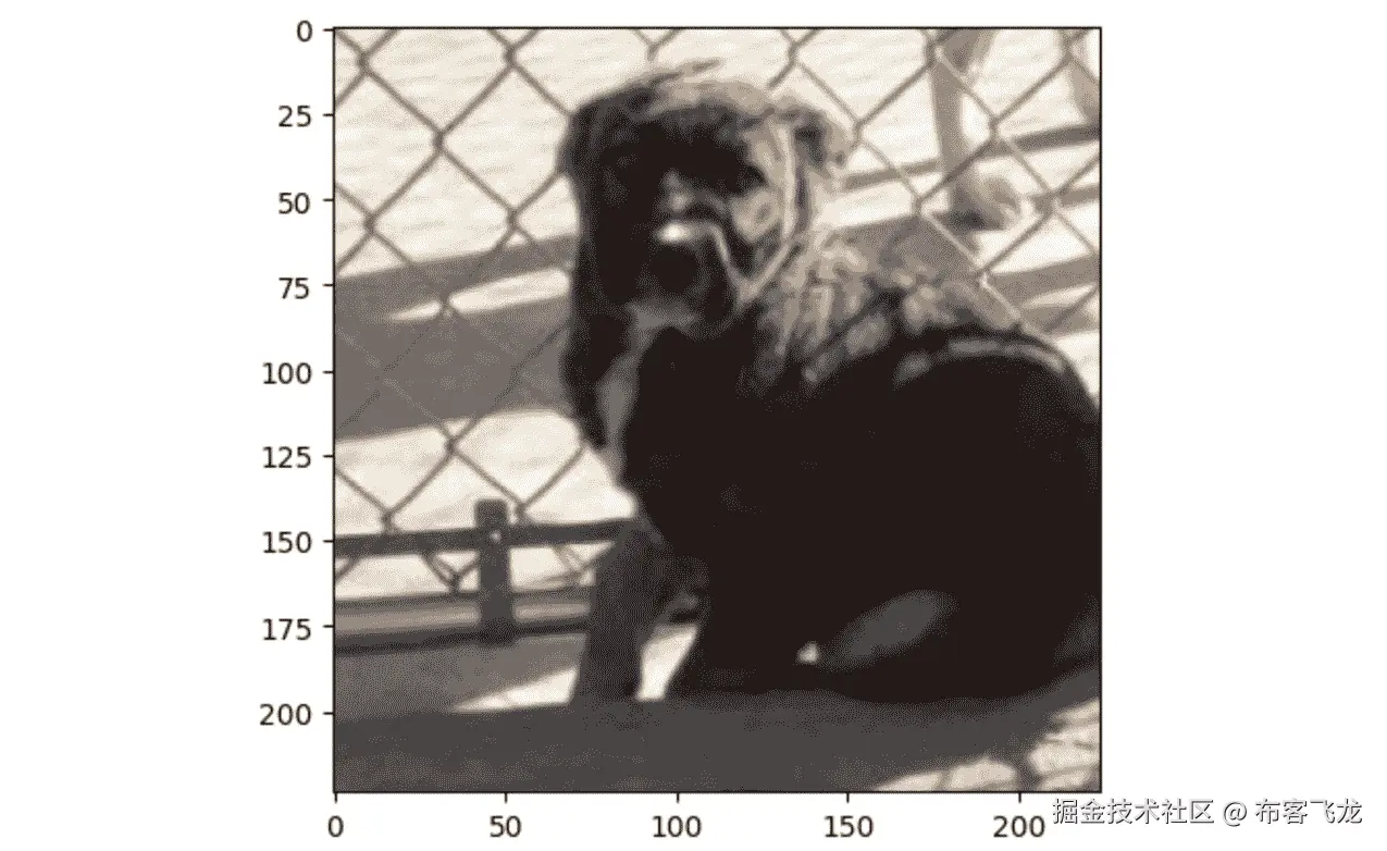 图 7.8 – 一只狗的示例图像