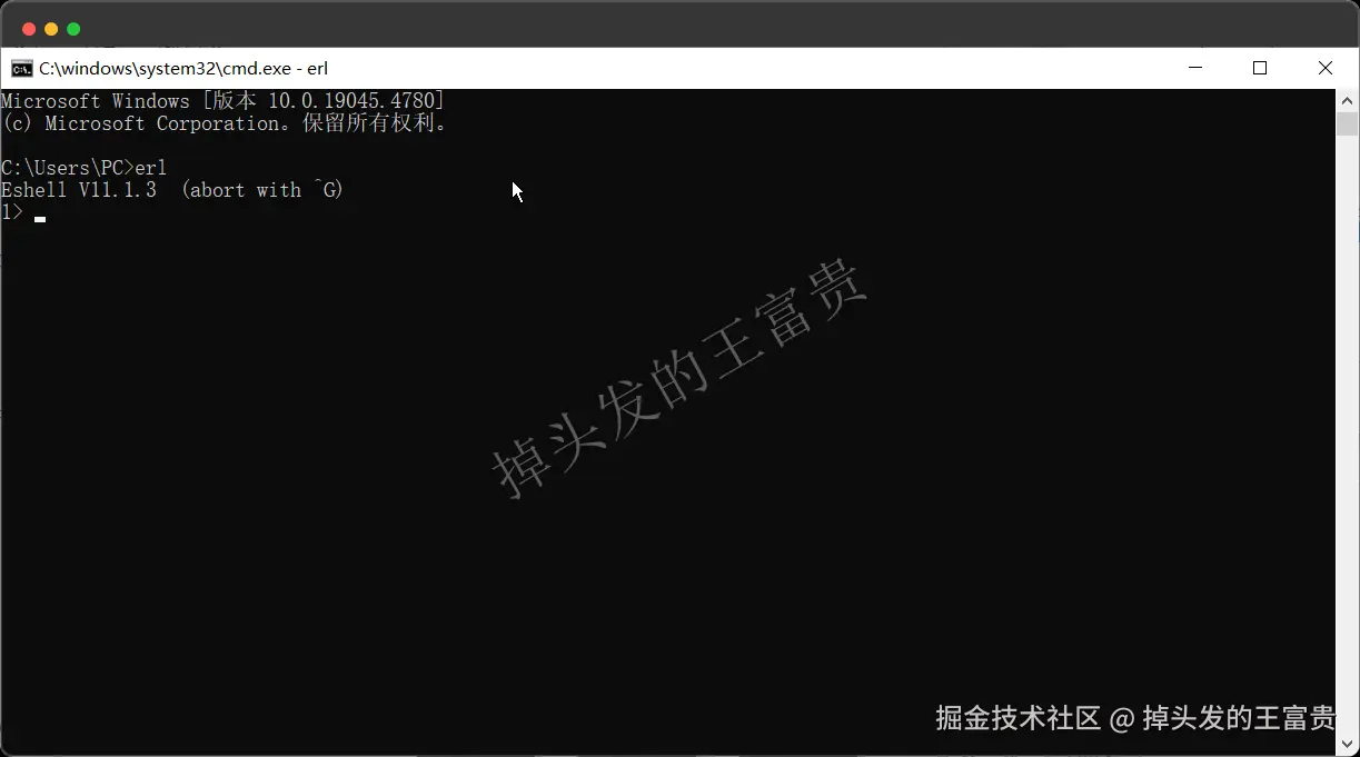 image-20240820110657391