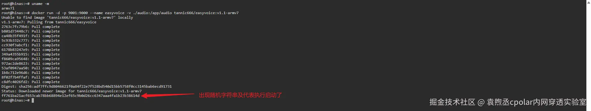 image-20251204163314658