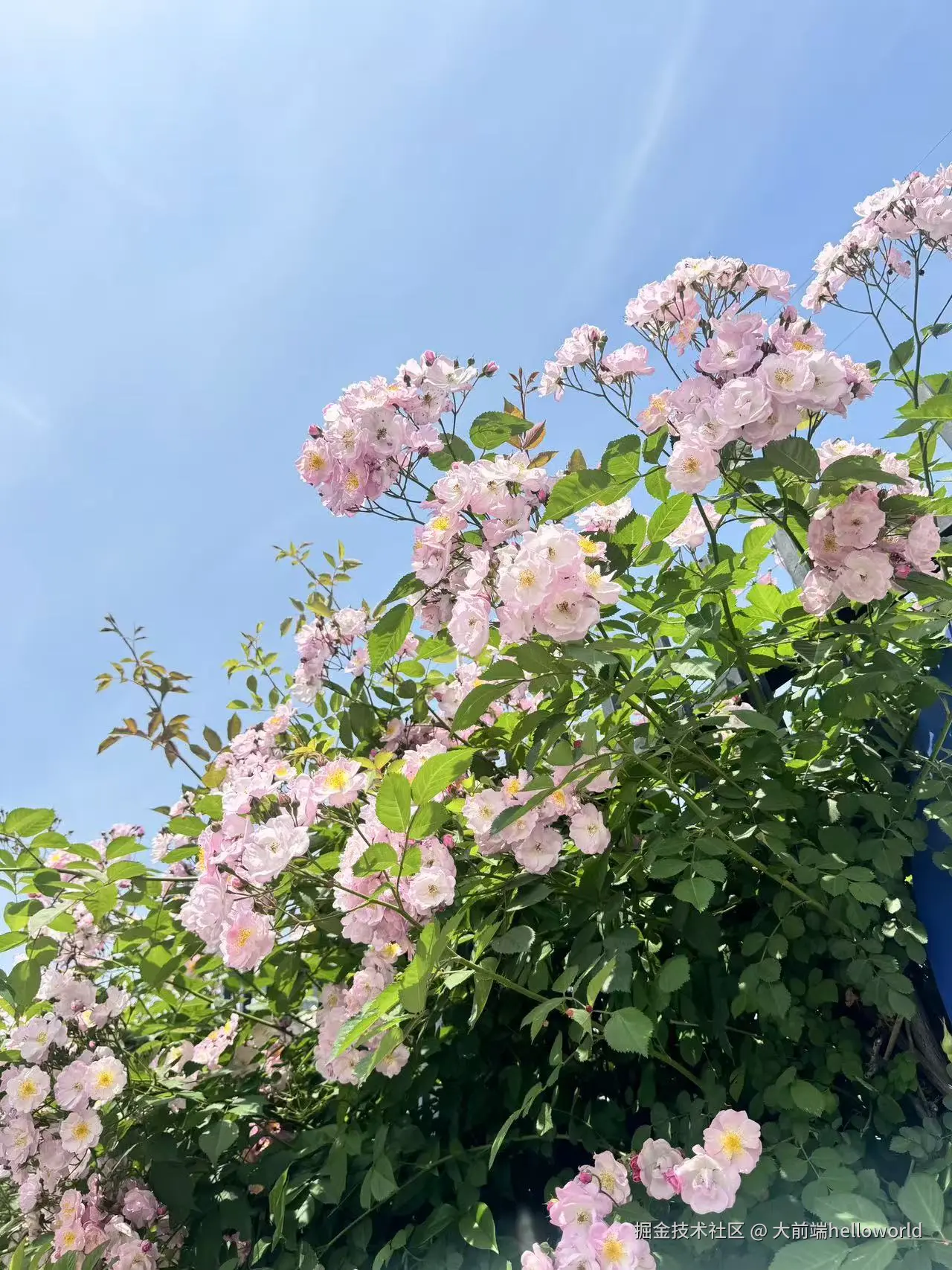 AI全自动实现Flutter蓝牙自动连接