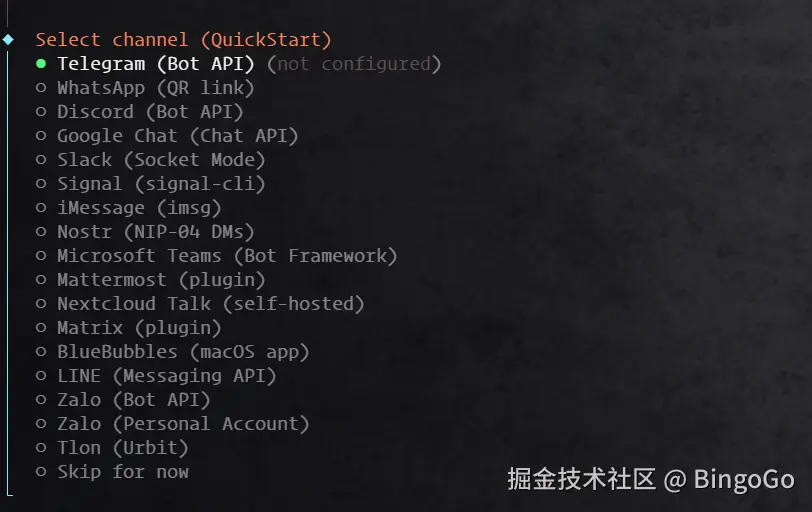 Clawedbot channel 渠道配置选项