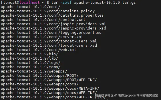 image-20250826154644951