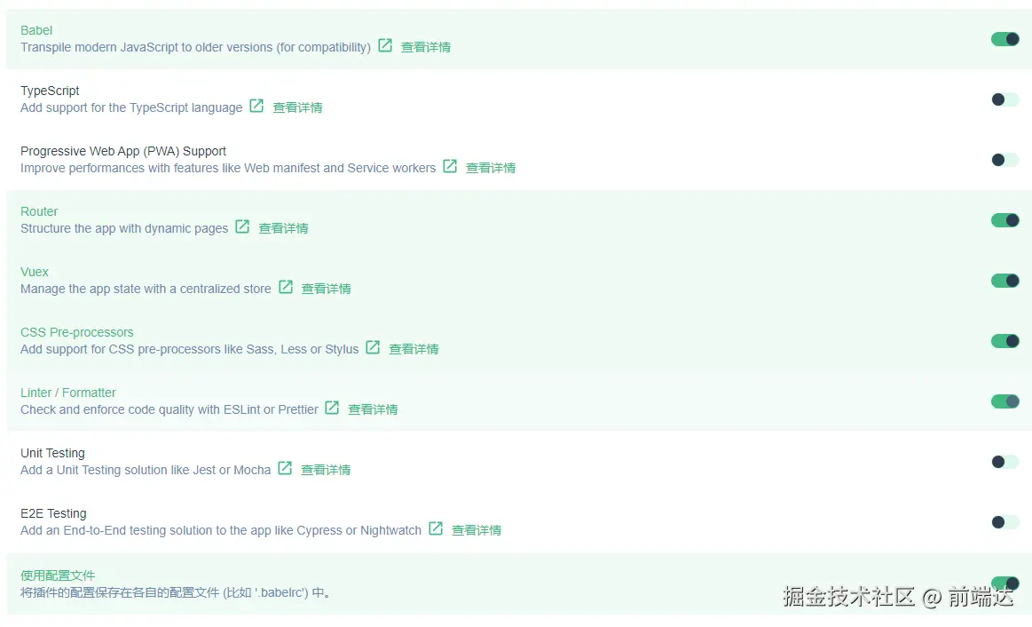 vue-standard-config.jpg
