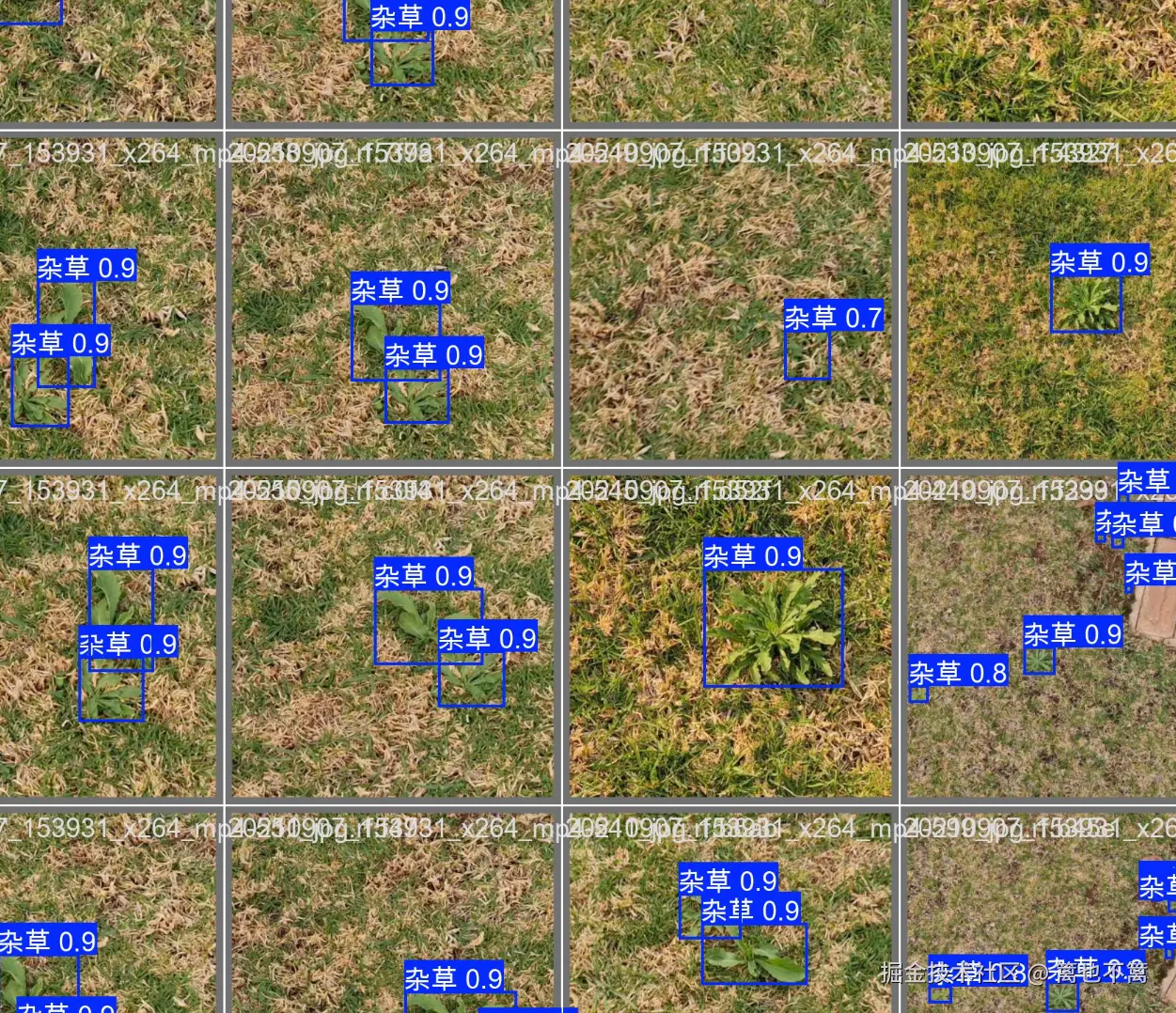 image-20250715205114684