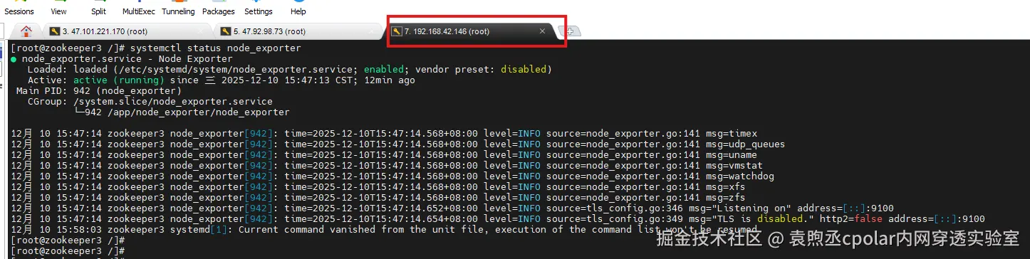 image-20251210155932650