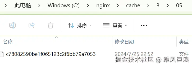 proxy-cache.png