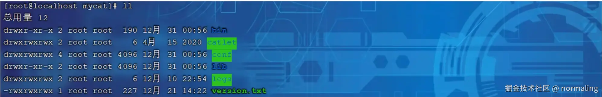 image-20240907103539881