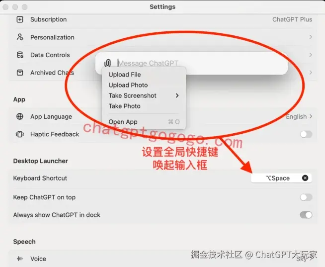 Mac设置ChatGPT转存