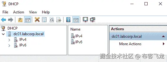 图 10.30 – DHCP 管理器    