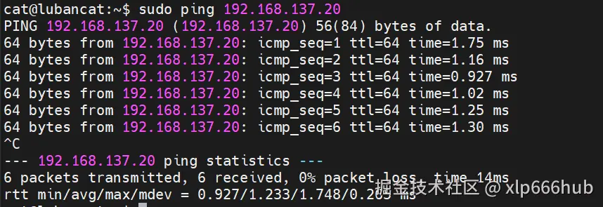 19. ping虚拟机.png