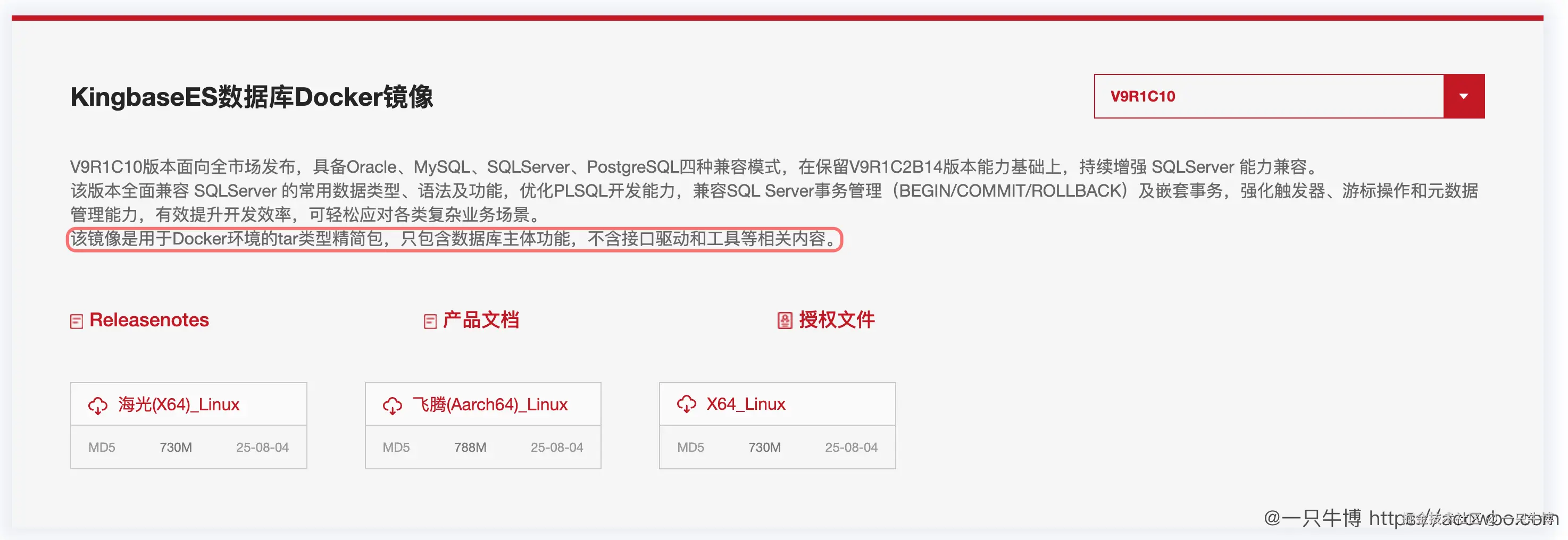 没有选择 Docker 镜像的原因