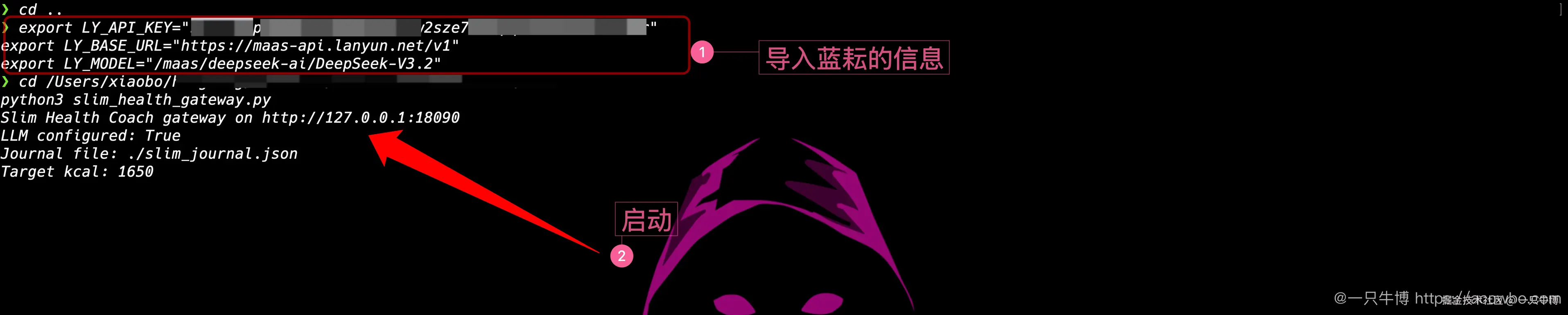 导入蓝耘配置并启动网关，Key 打码