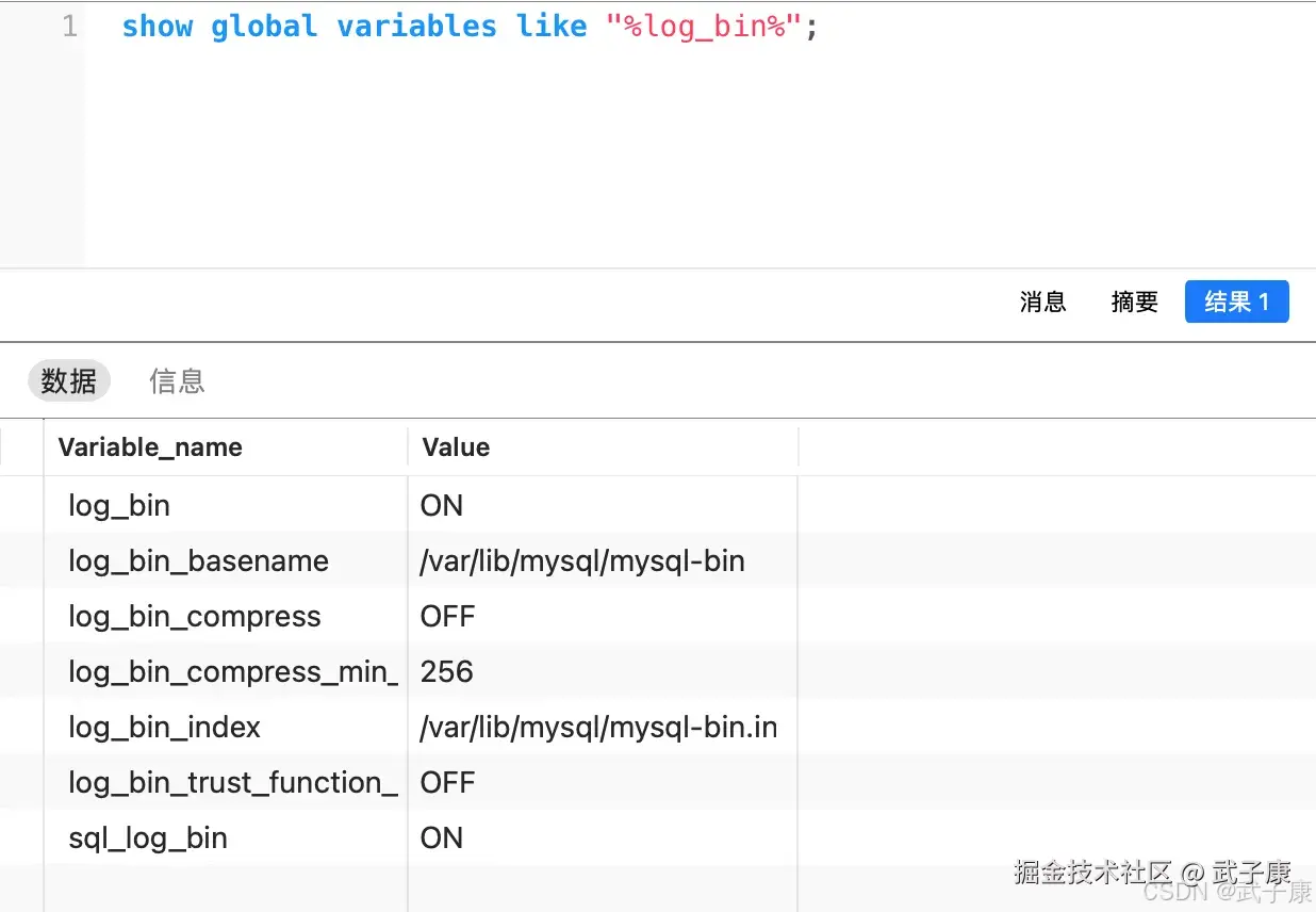 查看 binlog 目录