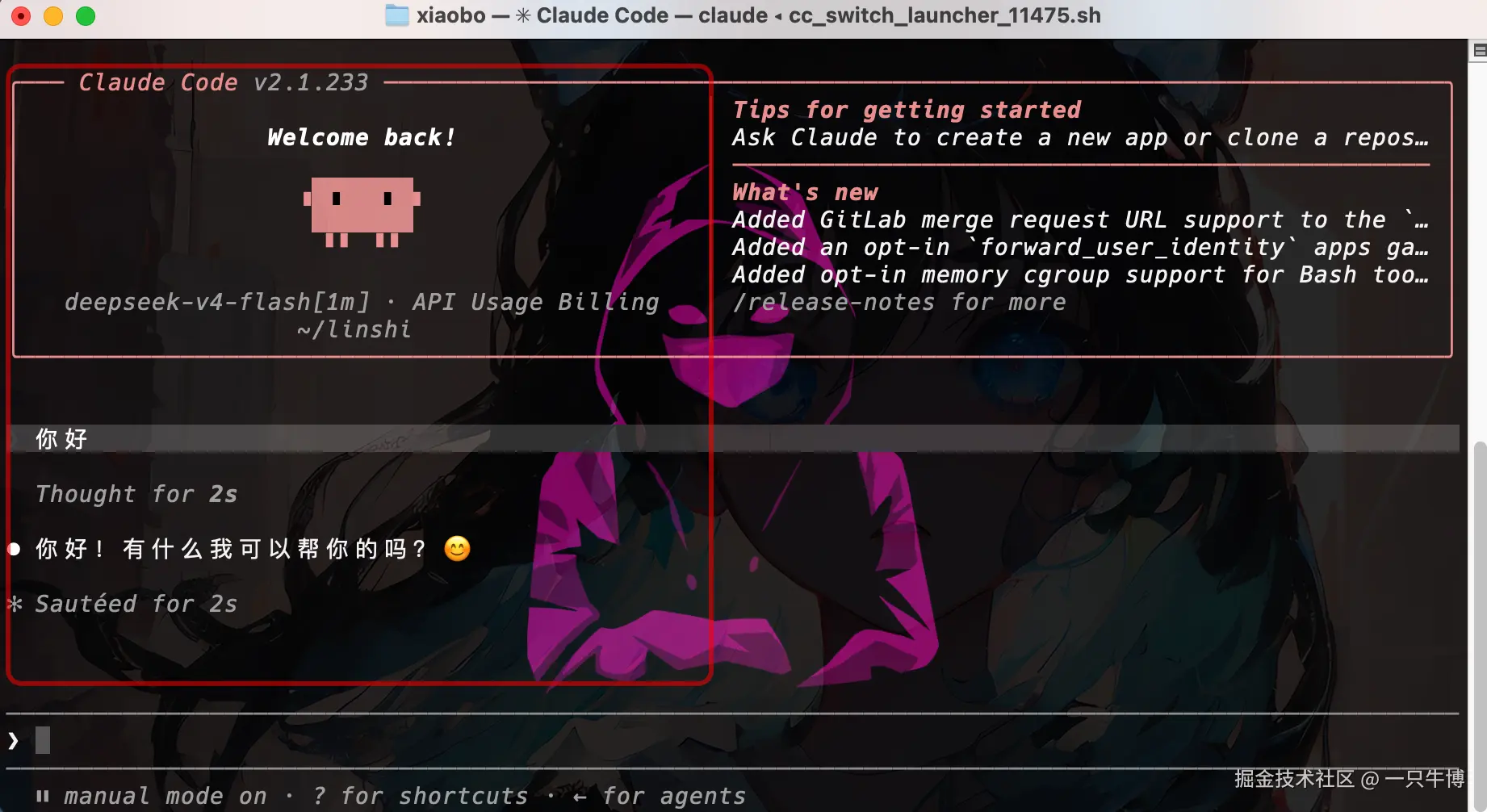 DeepSeek-V4-Flash在Claude Code中成功回复