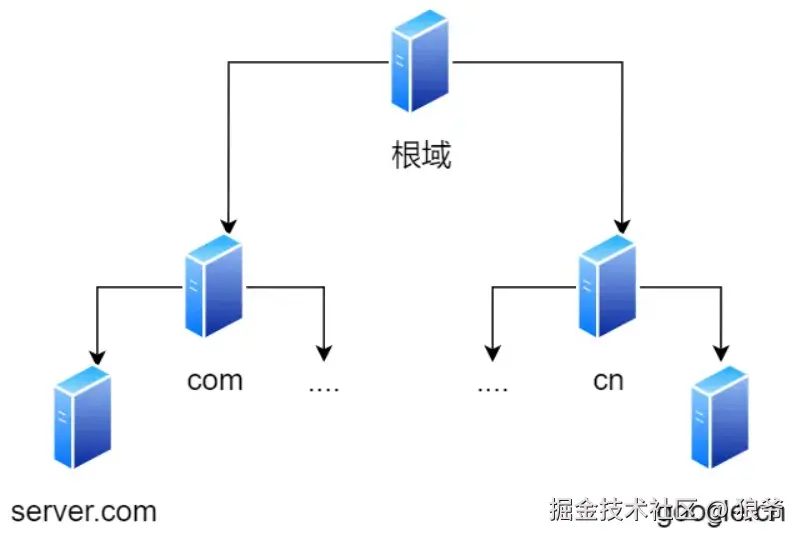 DNS查询