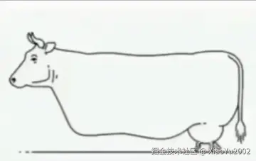 奇怪的代码运行方式