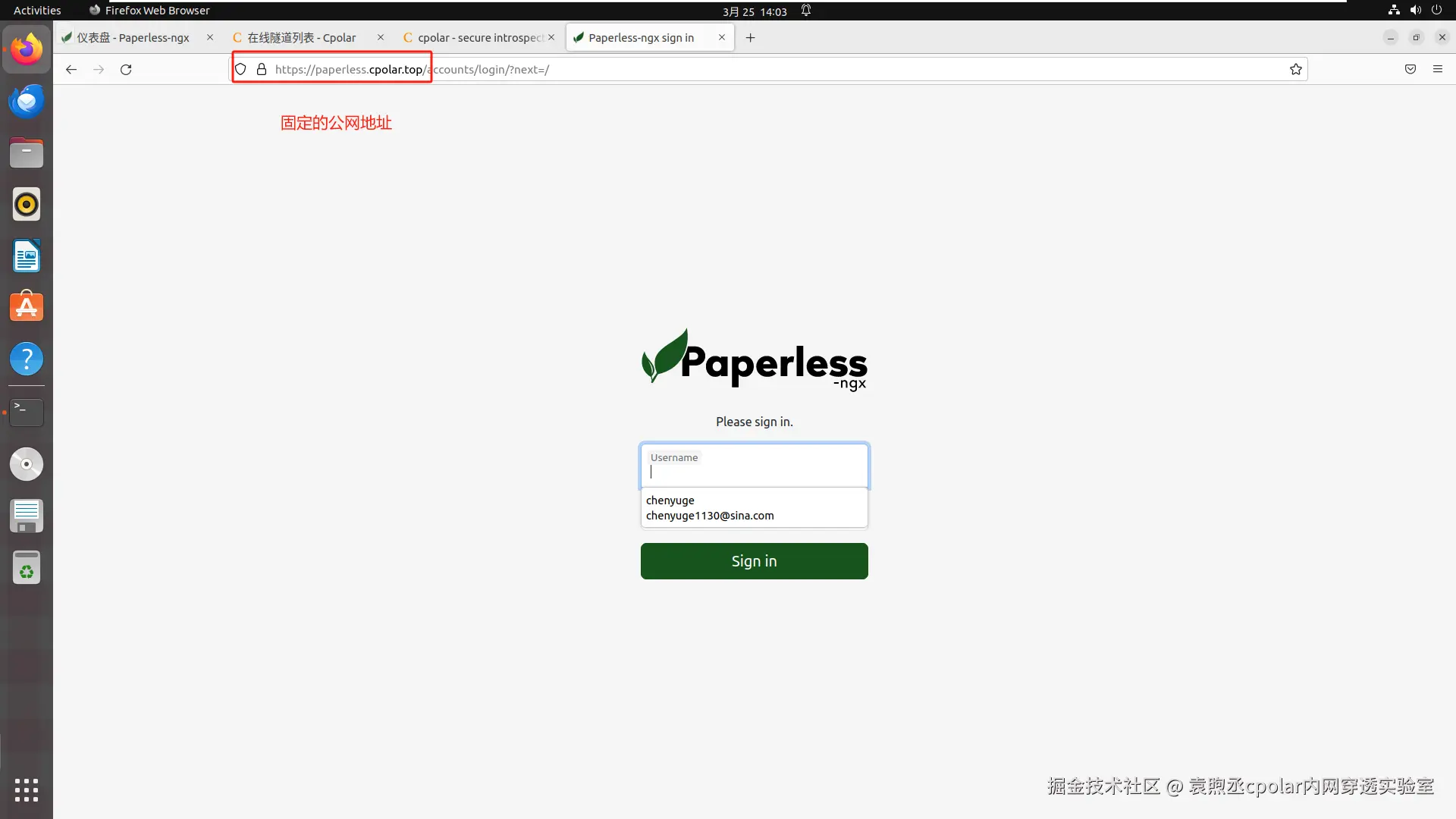 image-20250325140400974