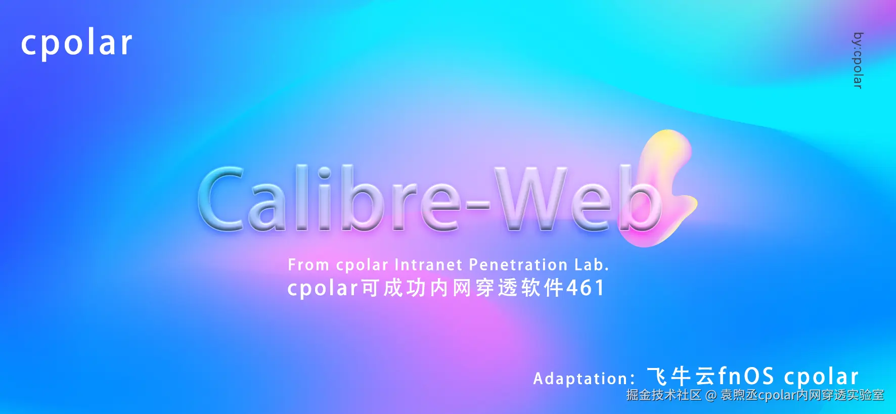 NO.461 Calibre-Web-01.png