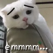 erinnnmrYI.gif
