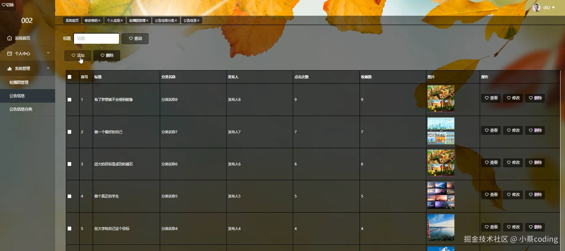 image-20240918164309550