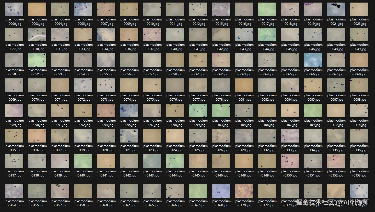 image-20250819113646178