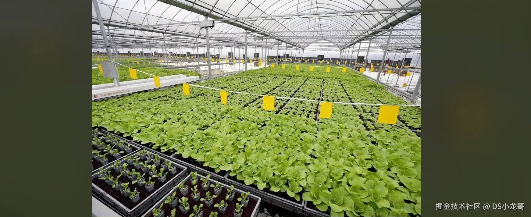 image-20240919140440505