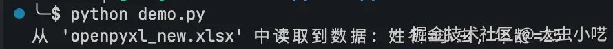 读取现有Excel文件的数据-运行效果图