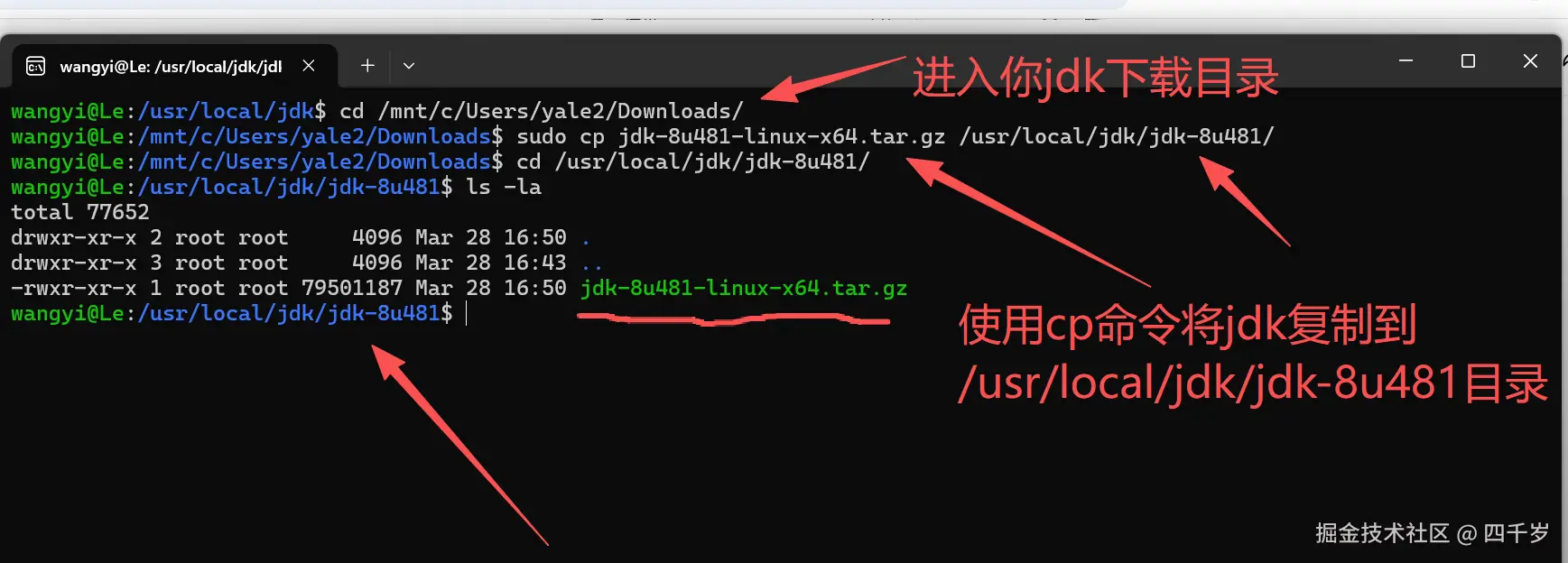 将 JDK 安装包复制到安装目录里面