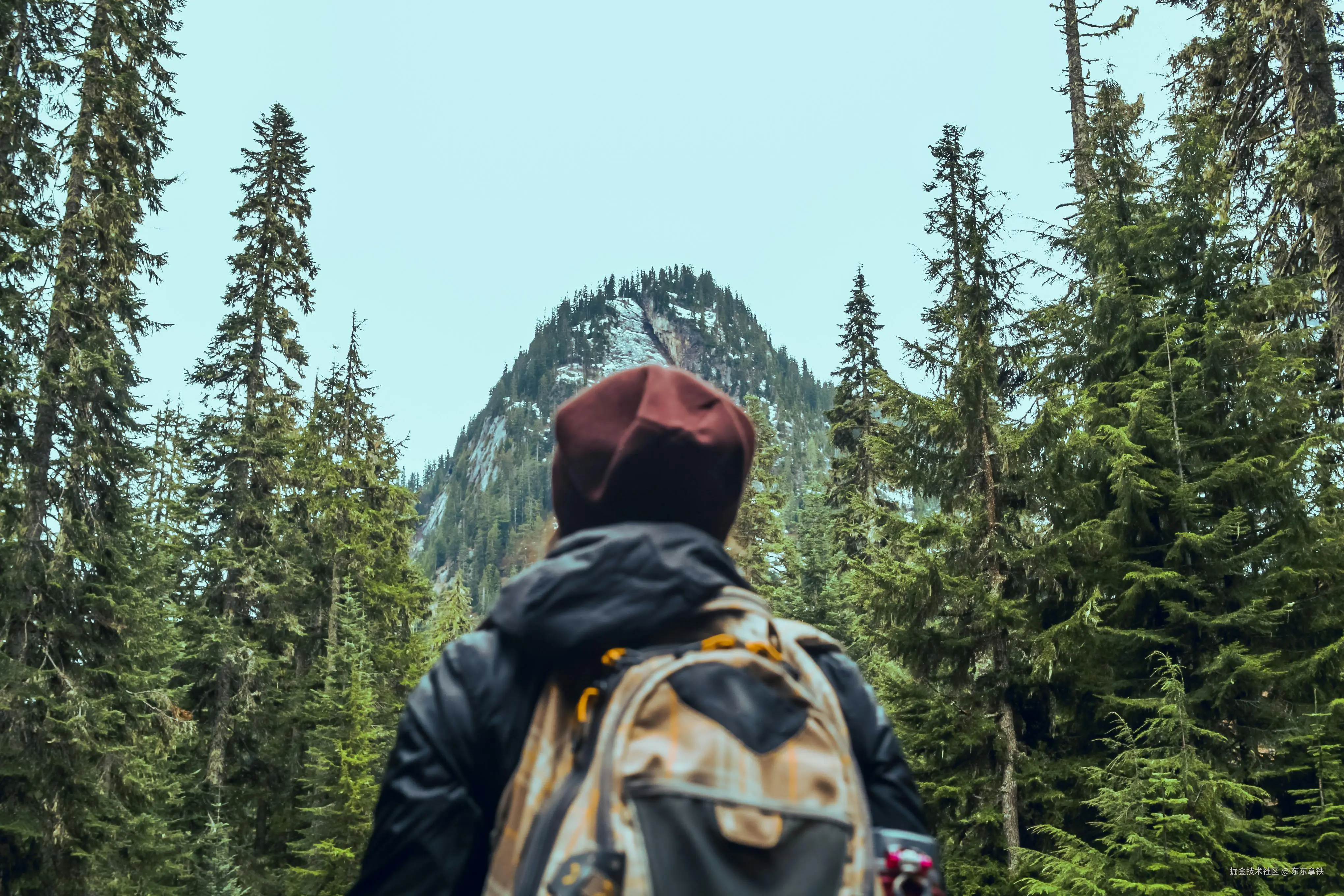 pexels-gochrisgoxyz-1687514.jpg